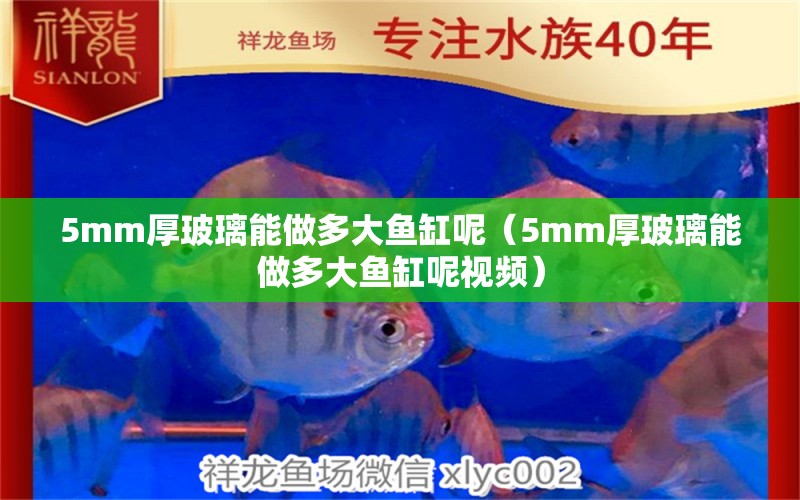 5mm厚玻璃能做多大鱼缸呢（5mm厚玻璃能做多大鱼缸呢视频） 其他品牌鱼缸