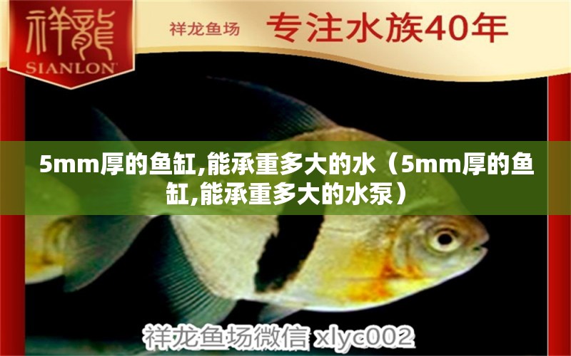 5mm厚的鱼缸,能承重多大的水（5mm厚的鱼缸,能承重多大的水泵）