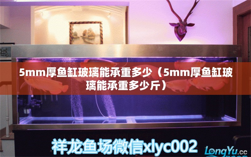 5mm厚鱼缸玻璃能承重多少（5mm厚鱼缸玻璃能承重多少斤） 其他品牌鱼缸