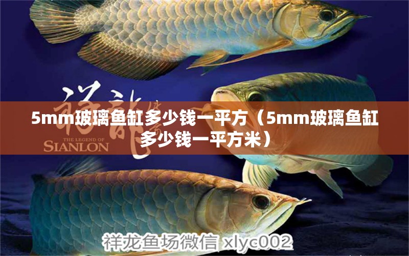 5mm玻璃鱼缸多少钱一平方（5mm玻璃鱼缸多少钱一平方米）