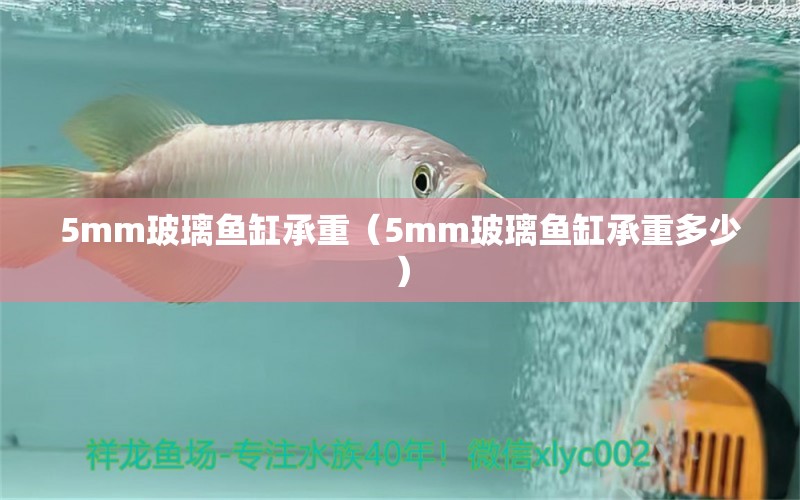 5mm玻璃鱼缸承重（5mm玻璃鱼缸承重多少）