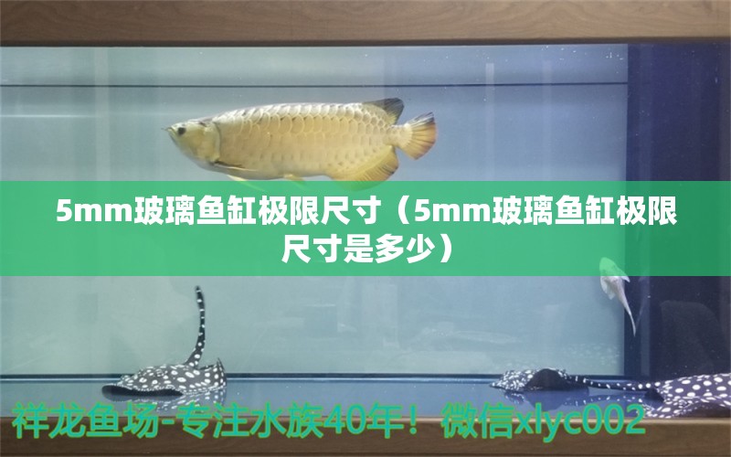 5mm玻璃鱼缸极限尺寸（5mm玻璃鱼缸极限尺寸是多少） 其他品牌鱼缸
