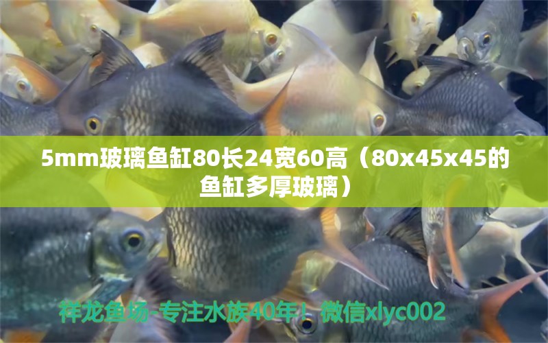 5mm玻璃鱼缸80长24宽60高（80x45x45的鱼缸多厚玻璃）