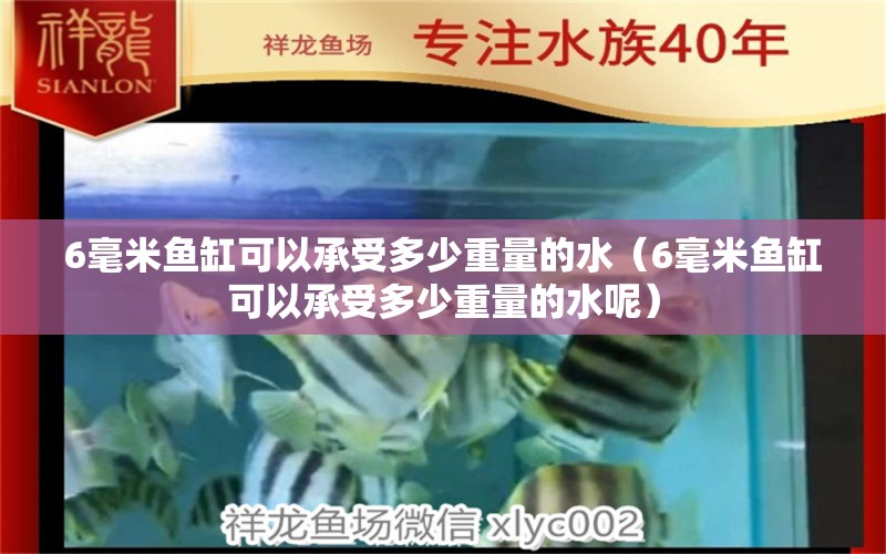 6毫米鱼缸可以承受多少重量的水（6毫米鱼缸可以承受多少重量的水呢） 鱼缸百科