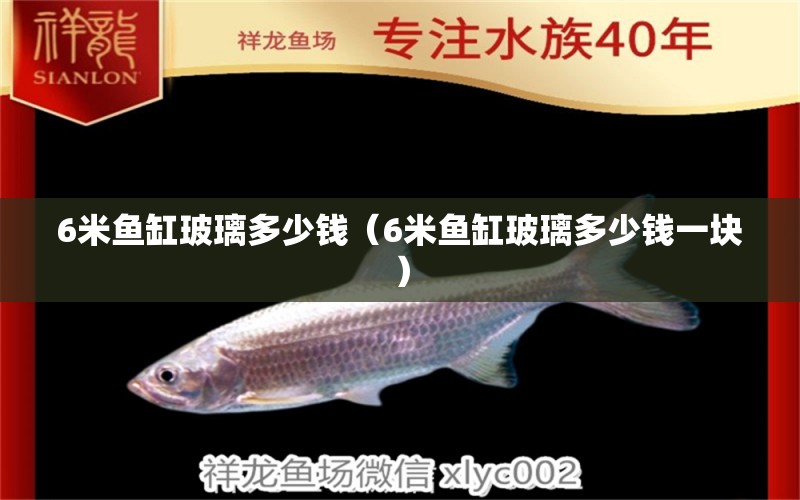 6米鱼缸玻璃多少钱（6米鱼缸玻璃多少钱一块） 鱼缸百科