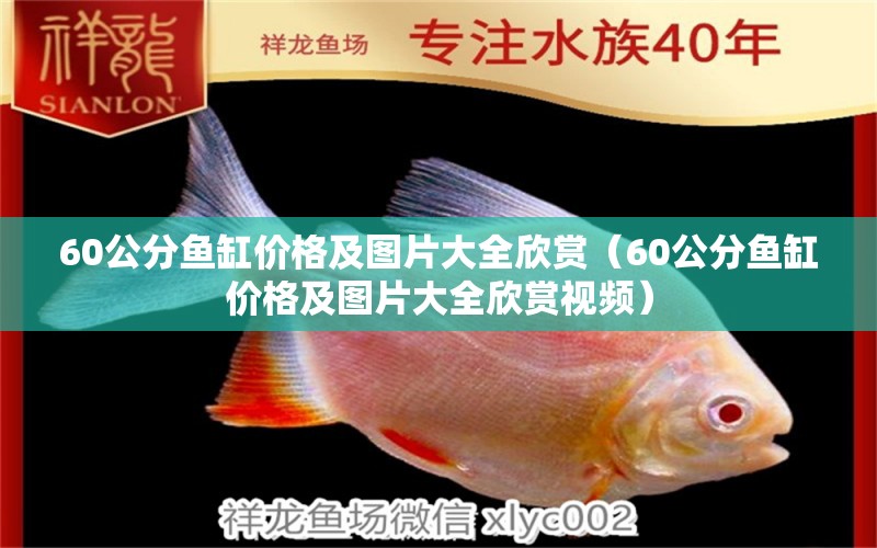 60公分鱼缸价格及图片大全欣赏（60公分鱼缸价格及图片大全欣赏视频）