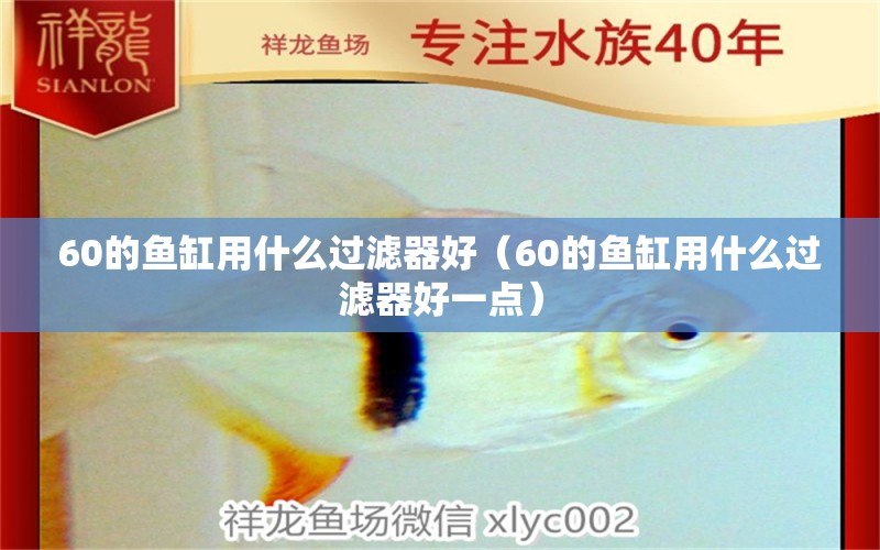 60的鱼缸用什么过滤器好（60的鱼缸用什么过滤器好一点）