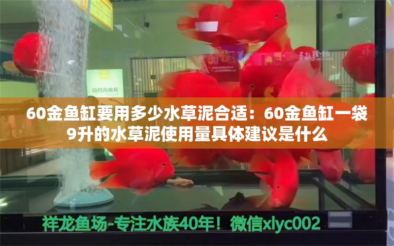 60金鱼缸要用多少水草泥合适：60金鱼缸一袋9升的水草泥使用量具体建议是什么