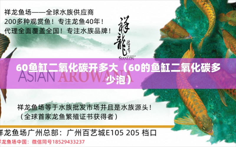 60鱼缸二氧化碳开多大（60的鱼缸二氧化碳多少泡） 二氧化碳设备