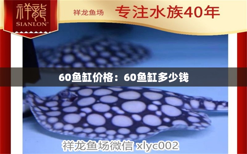 60鱼缸价格：60鱼缸多少钱 观赏鱼市场（混养鱼）