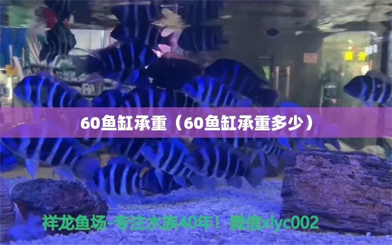 60鱼缸承重（60鱼缸承重多少）