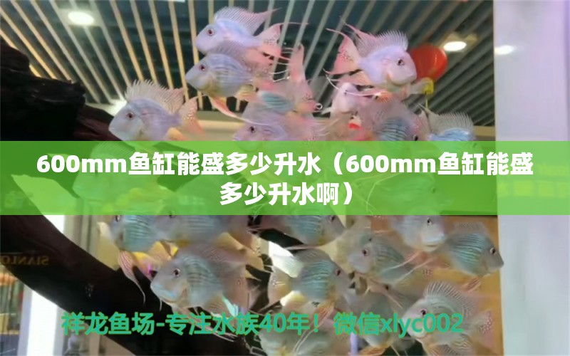 600mm鱼缸能盛多少升水（600mm鱼缸能盛多少升水啊）