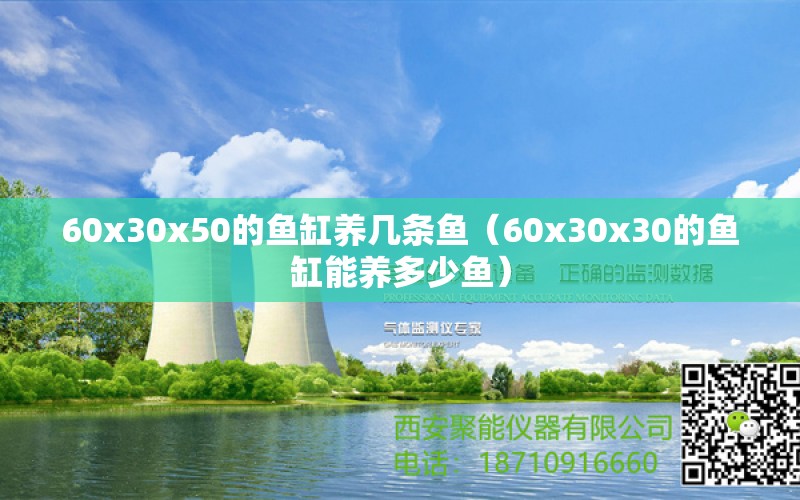 60x30x50的鱼缸养几条鱼（60x30x30的鱼缸能养多少鱼）