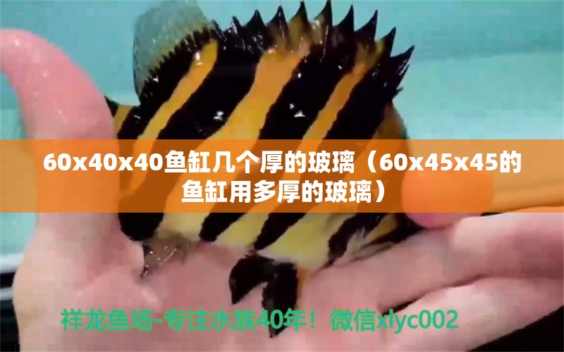 60x40x40鱼缸几个厚的玻璃（60x45x45的鱼缸用多厚的玻璃） 鱼缸百科