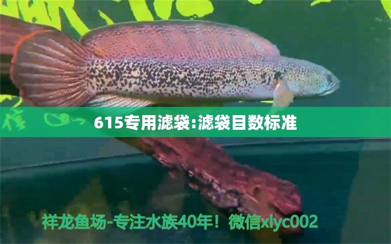 615专用滤袋:滤袋目数标准