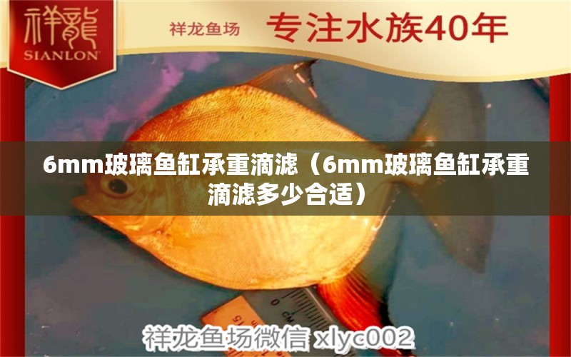 6mm玻璃鱼缸承重滴滤（6mm玻璃鱼缸承重滴滤多少合适） 鱼缸百科