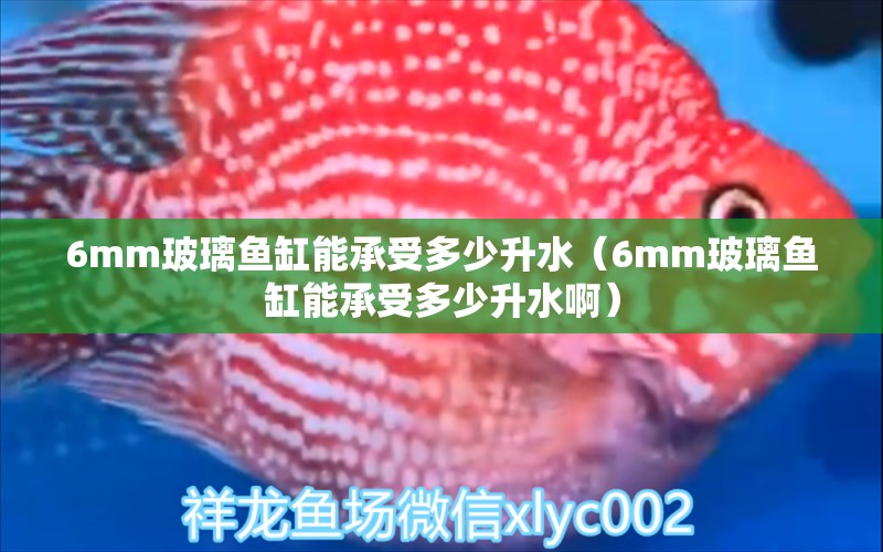 6mm玻璃鱼缸能承受多少升水（6mm玻璃鱼缸能承受多少升水啊）