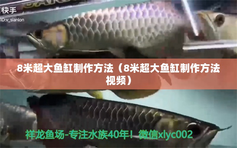 8米超大鱼缸制作方法（8米超大鱼缸制作方法视频） 鱼缸
