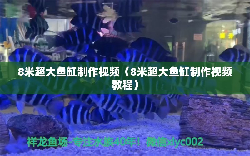 8米超大鱼缸制作视频（8米超大鱼缸制作视频教程） 鱼缸百科