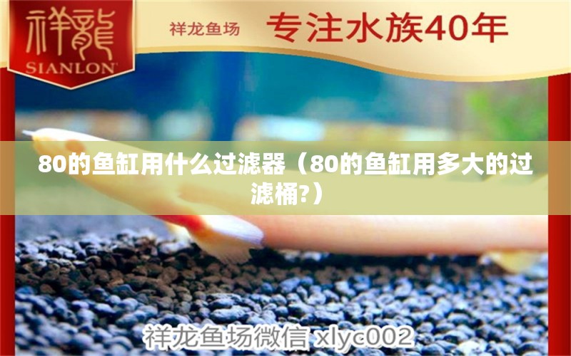 80的鱼缸用什么过滤器（80的鱼缸用多大的过滤桶?） 观赏鱼批发