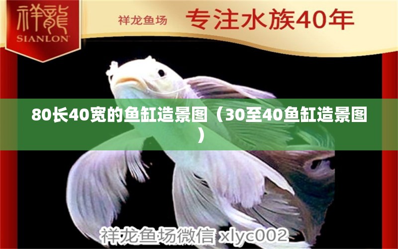 80长40宽的鱼缸造景图（30至40鱼缸造景图）