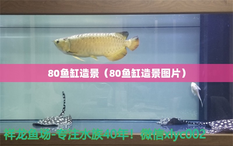 80鱼缸造景（80鱼缸造景图片） 祥龙鱼场