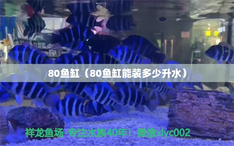 80鱼缸（80鱼缸能装多少升水）