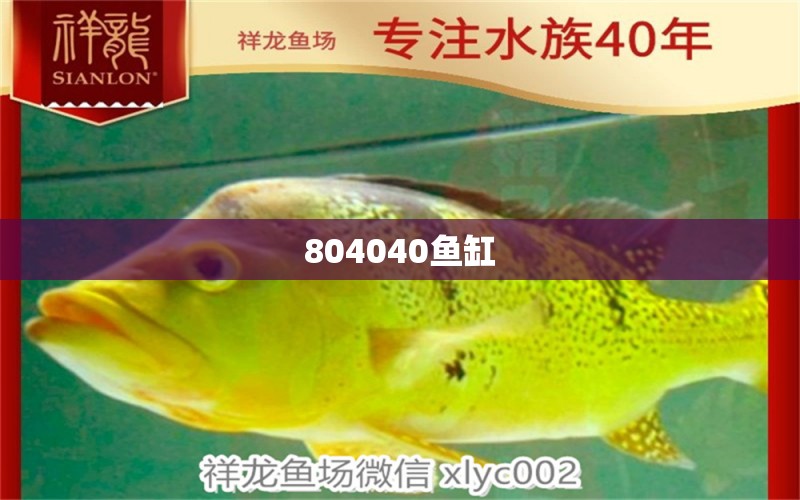 804040鱼缸 潜水泵