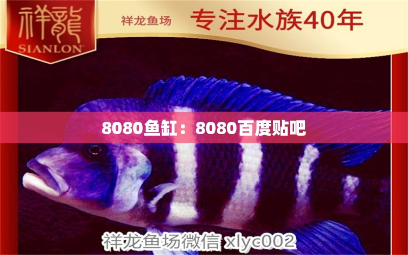 8080鱼缸：8080百度贴吧 鱼缸百科 第2张