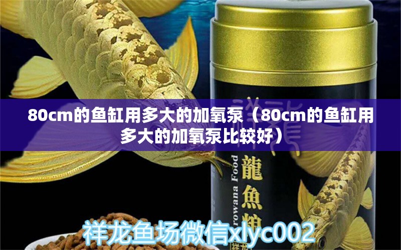 80cm的鱼缸用多大的加氧泵（80cm的鱼缸用多大的加氧泵比较好）