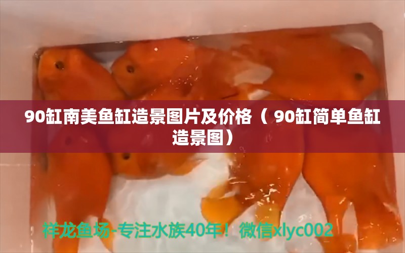 90缸南美鱼缸造景图片及价格（ 90缸简单鱼缸造景图）