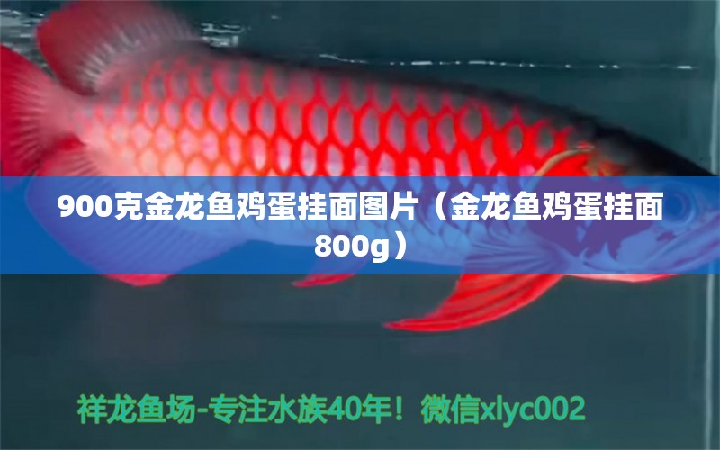 900克金龙鱼鸡蛋挂面图片（金龙鱼鸡蛋挂面800g）