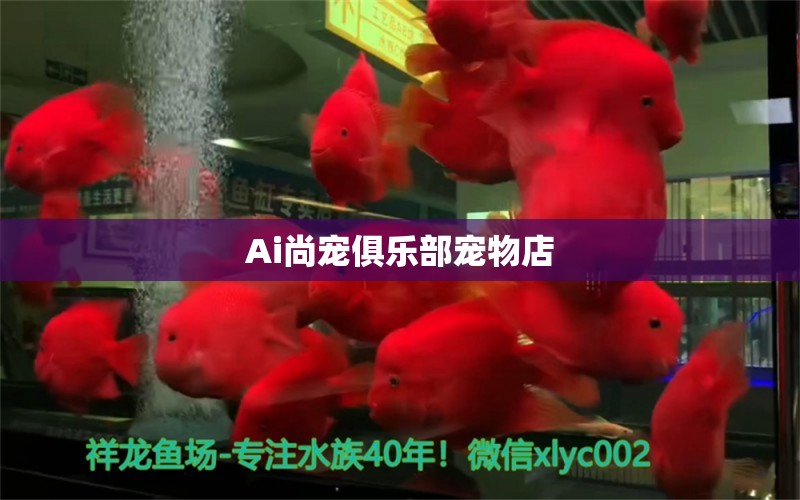 Ai尚宠俱乐部宠物店 全国水族馆企业名录