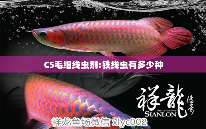 C5毛细线虫剂:铁线虫有多少种 广州水族器材滤材批发市场