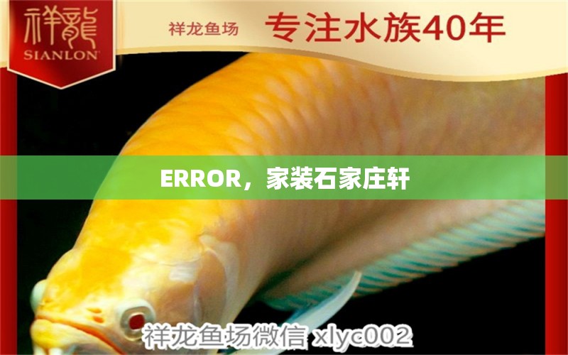 ERROR，家装石家庄轩