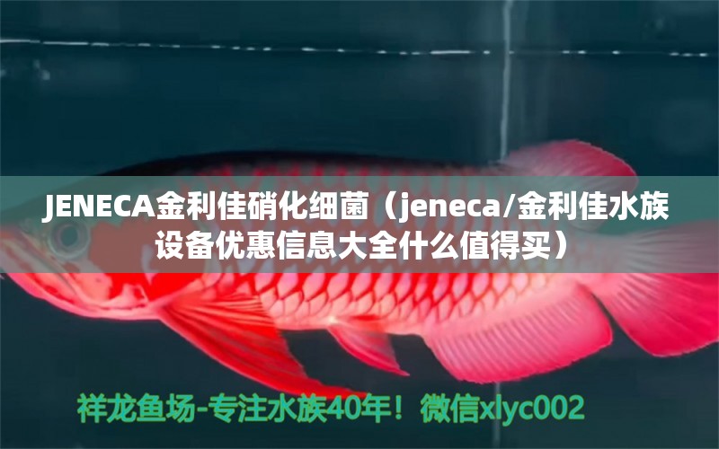 JENECA金利佳硝化细菌（jeneca/金利佳水族设备优惠信息大全什么值得买）