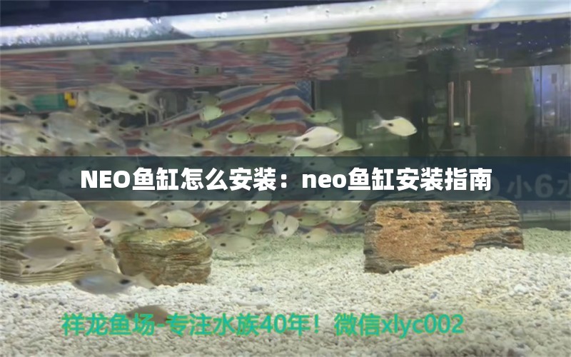 NEO鱼缸怎么安装：neo鱼缸安装指南 鱼缸百科 第2张