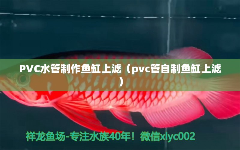 PVC水管制作鱼缸上滤（pvc管自制鱼缸上滤）