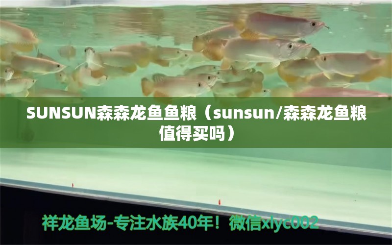 SUNSUN森森龙鱼鱼粮（sunsun/森森龙鱼粮值得买吗）