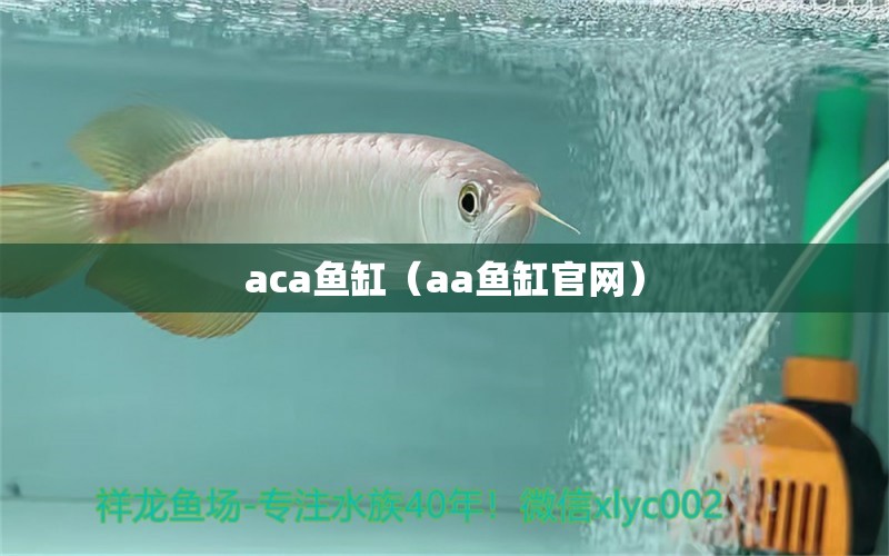 aca鱼缸（aa鱼缸官网） 水族主题相关 第1张