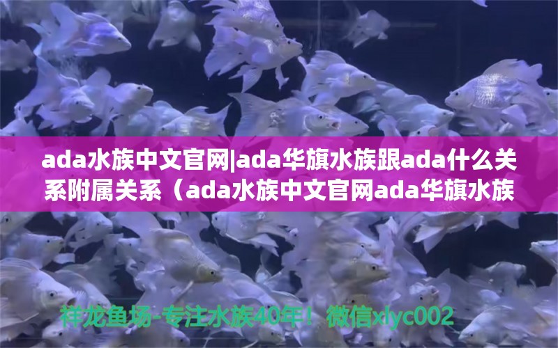 ada水族中文官网|ada华旗水族跟ada什么关系附属关系（ada水族中文官网ada华旗水族）