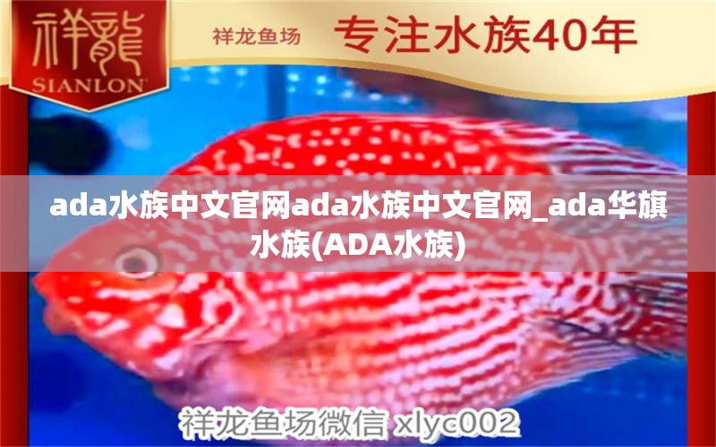 ada水族中文官网ada水族中文官网_ada华旗水族(ADA水族)