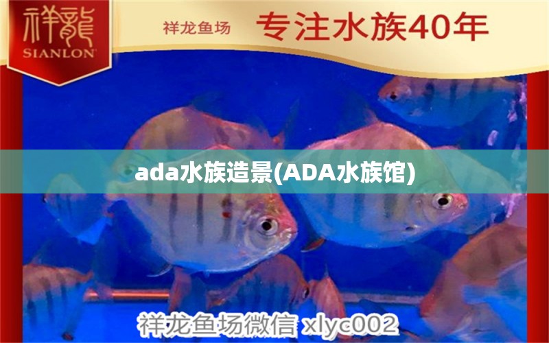 ada水族造景(ADA水族馆) 水草