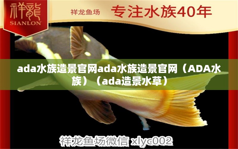 ada水族造景官网ada水族造景官网（ADA水族）（ada造景水草）