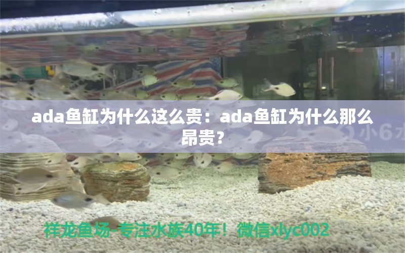 ada鱼缸为什么这么贵：ada鱼缸为什么那么昂贵？