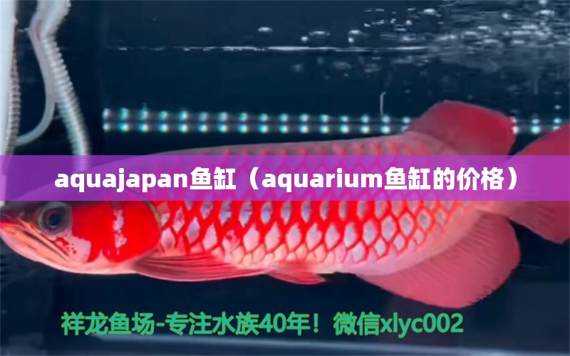 aquajapan鱼缸（aquarium鱼缸的价格）
