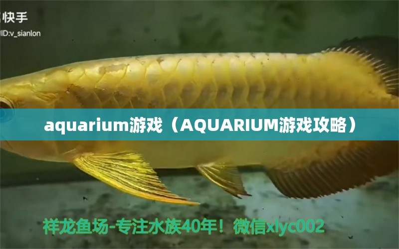 aquarium游戏（AQUARIUM游戏攻略）