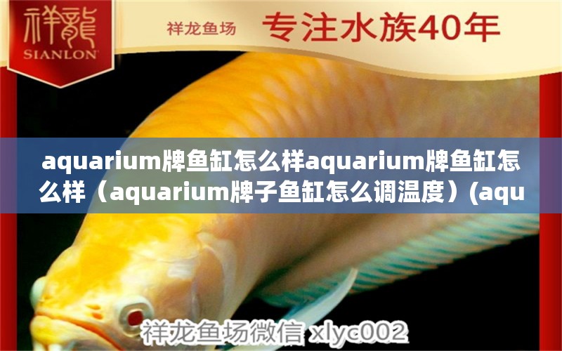 aquarium牌鱼缸怎么样aquarium牌鱼缸怎么样（aquarium牌子鱼缸怎么调温度）(aquarium鱼缸的价格) 鸭嘴鲨鱼