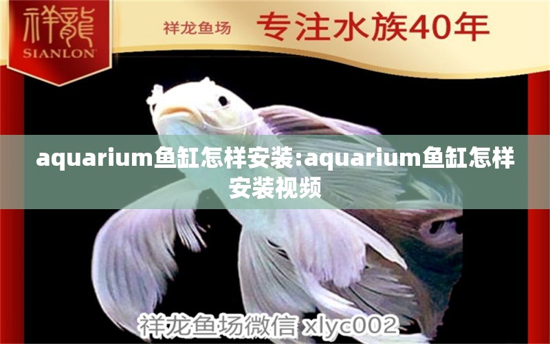 aquarium鱼缸怎样安装:aquarium鱼缸怎样安装视频