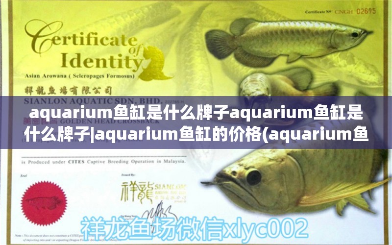 aquarium鱼缸是什么牌子aquarium鱼缸是什么牌子|aquarium鱼缸的价格(aquarium鱼缸)